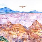 FLIGHT, North Rim
25" x 38" 
Original Available $1,200.00